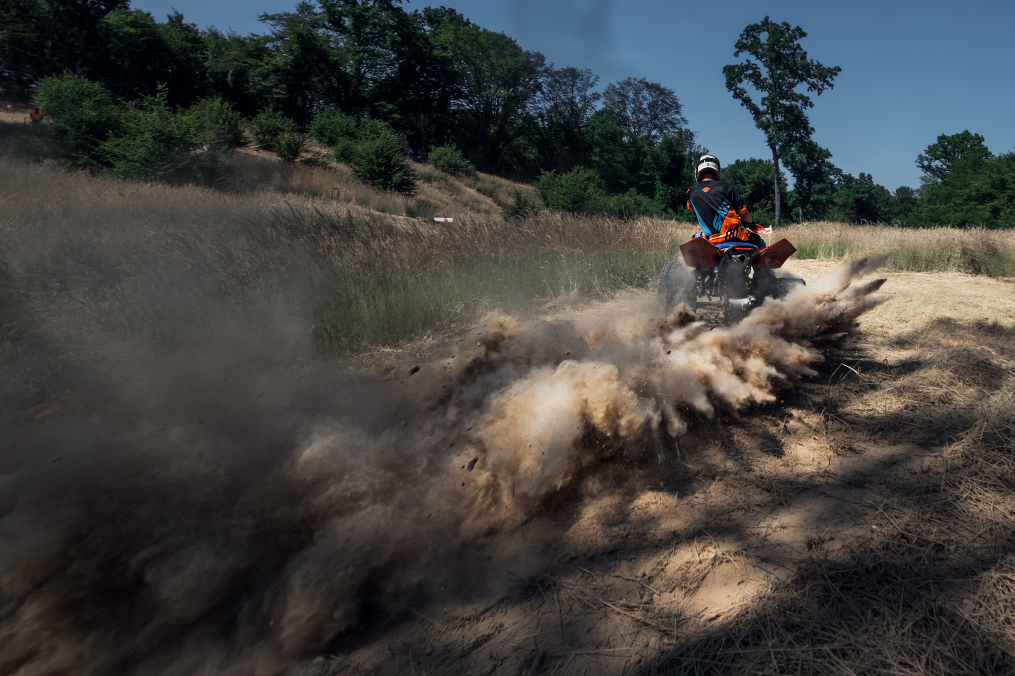 Lion Racing Team - Sebiş, România | Sebis