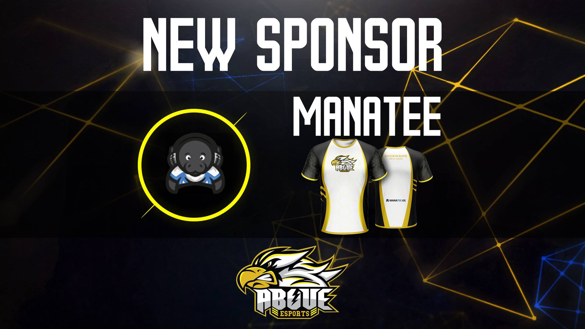 Above Esports
