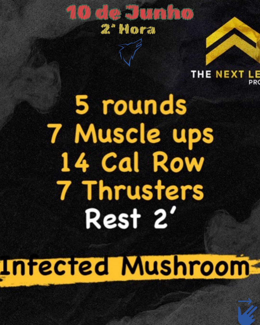 The Next Level Program