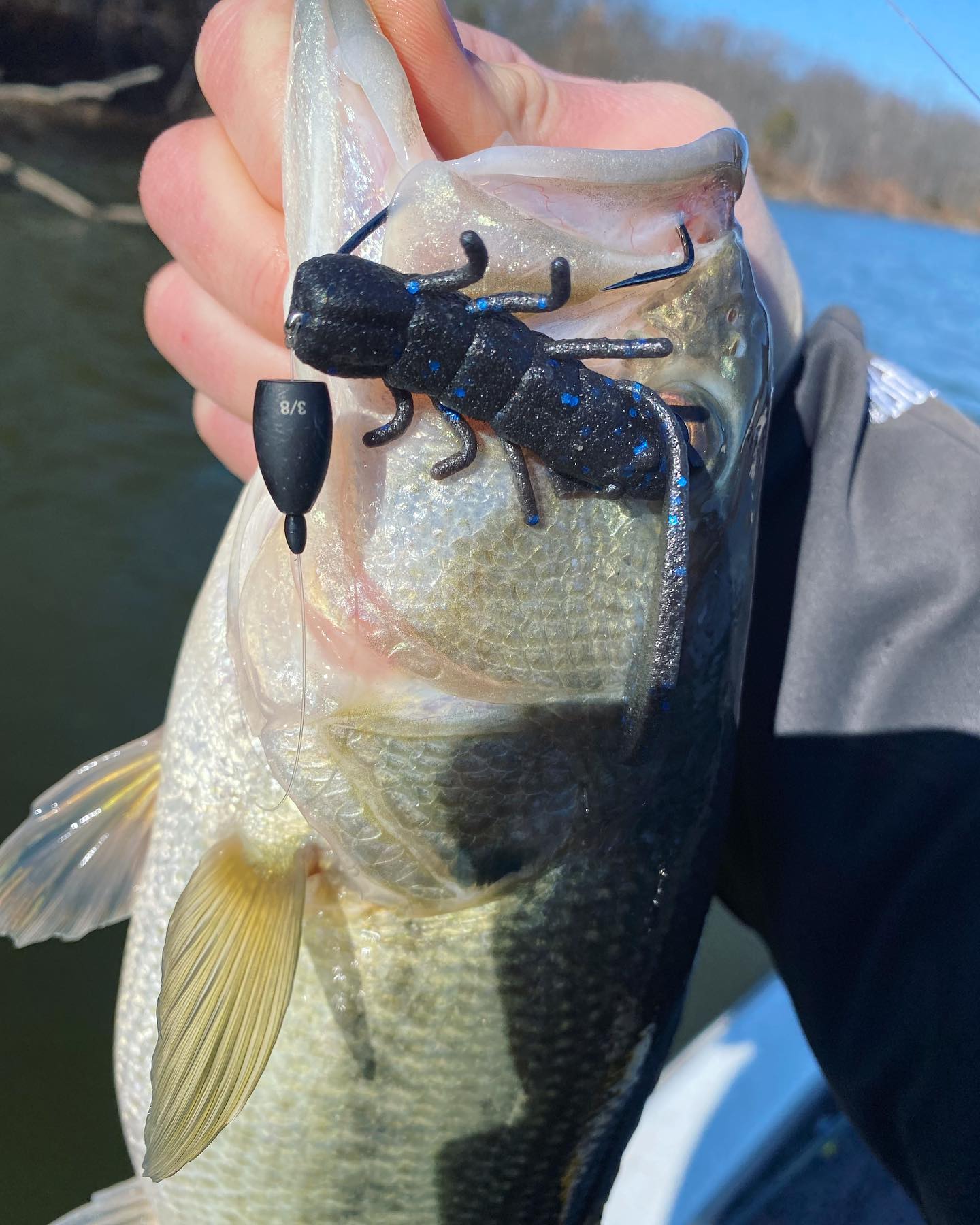 InBulk Tackle | Indianapolis IN