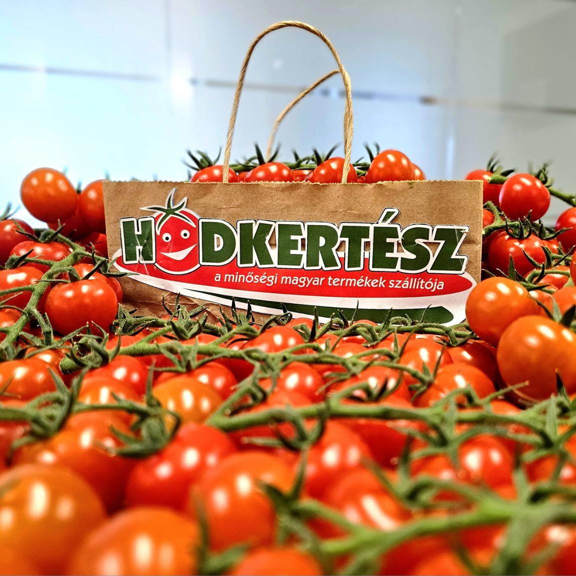 Hódkertész Kft. - Itt a disznóvágási időszak 🐷! A malacságok mellé ...