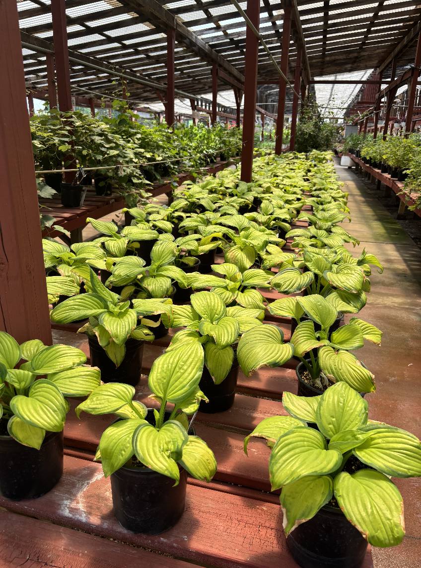 Feed 'N' Seed Inc. | Port Huron MI