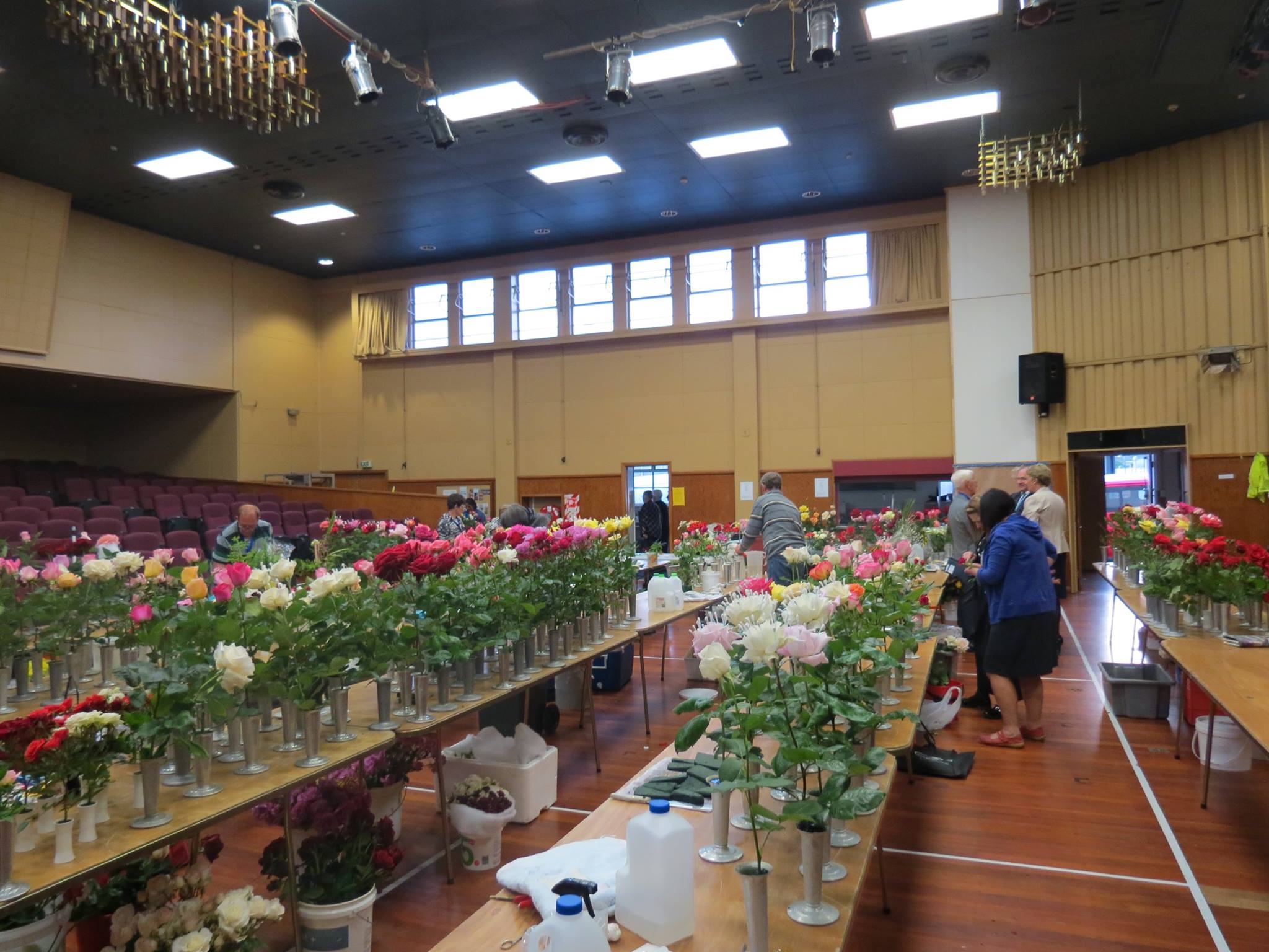 Some pics from behind the... - New Zealand Rose Society | Facebook