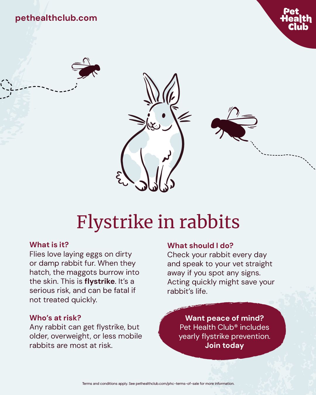 The Beeches Veterinary... - The Beeches Veterinary Centre