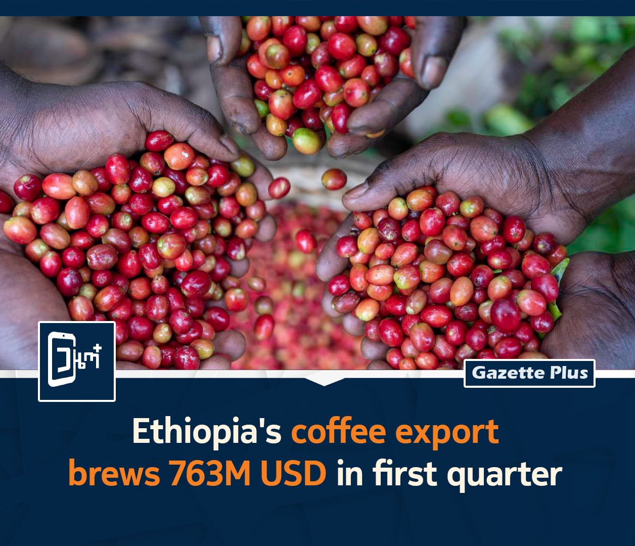 gazette-ethiopia-s-coffee-export-brews-763m-usd-in-first-quarter
