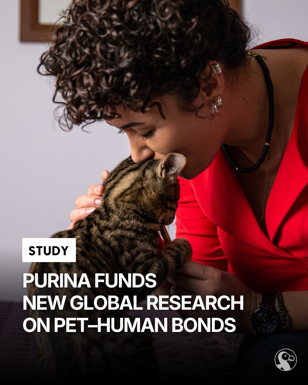 The Dodo - What makes the bond between people and pets so powerful is ...