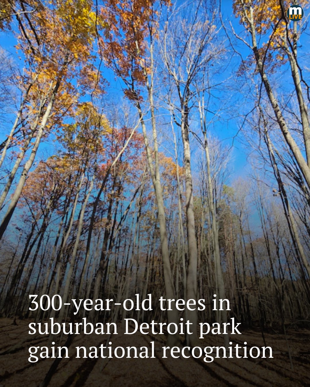 MLive.com - 🔗: https://l.mlive.com/t373vm Independence Oaks County Park ...