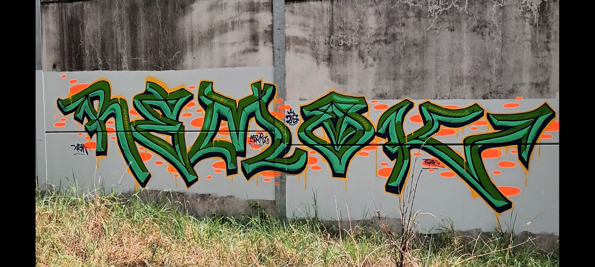REMOK 1
