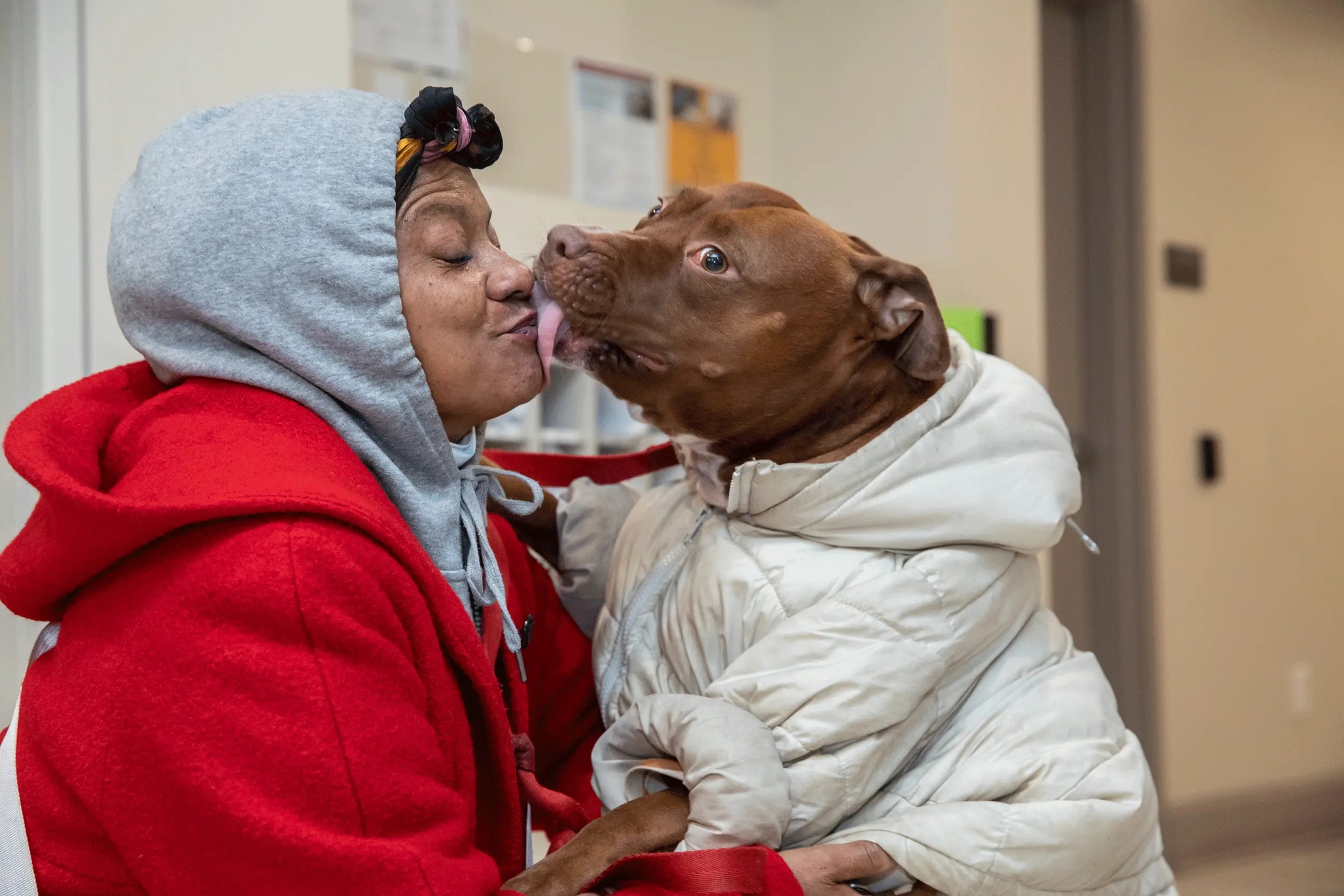 Project - On February 14, discover a heartwarming celebration that will ...