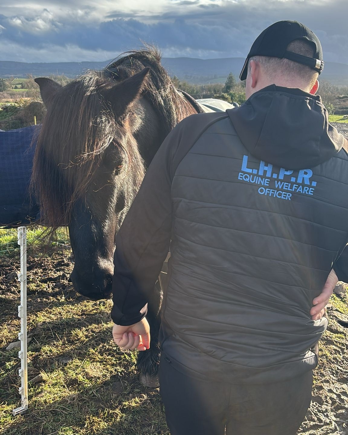 Leinster Horse and Pony... - Leinster Horse and Pony Rescue