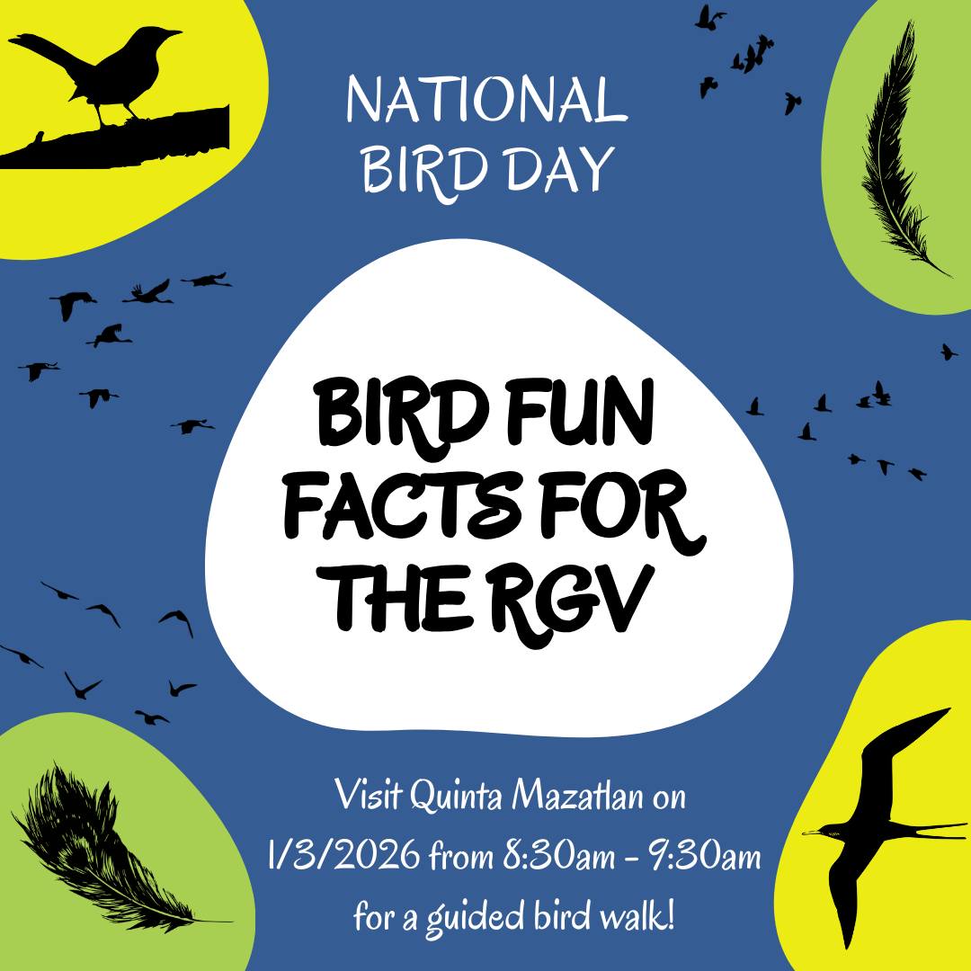 In honor of the... - Quinta Mazatlan World Birding Center | Facebook
