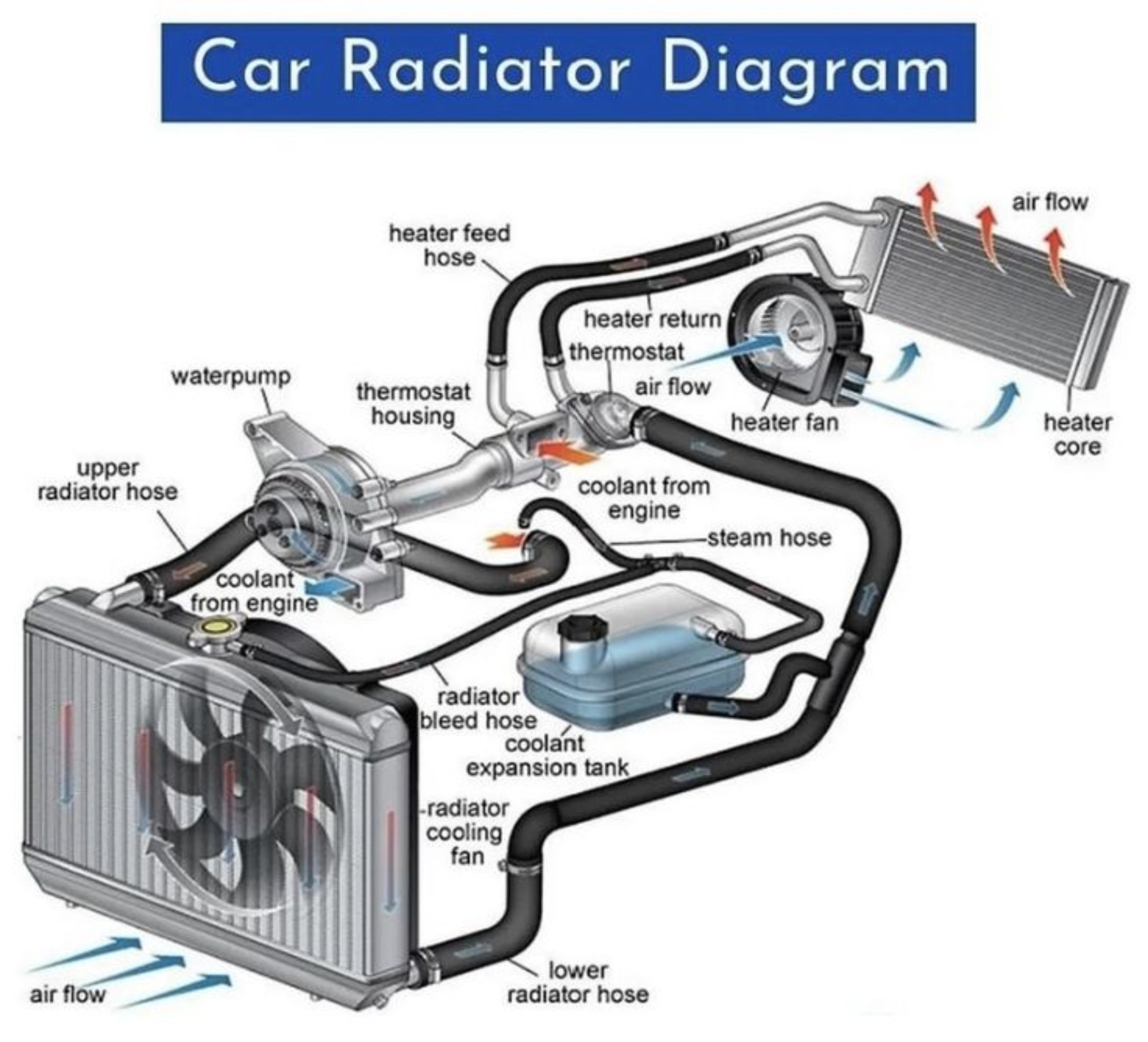 Mechanical Parts Knowledge | How a Car Radiator Works: Coolant ...