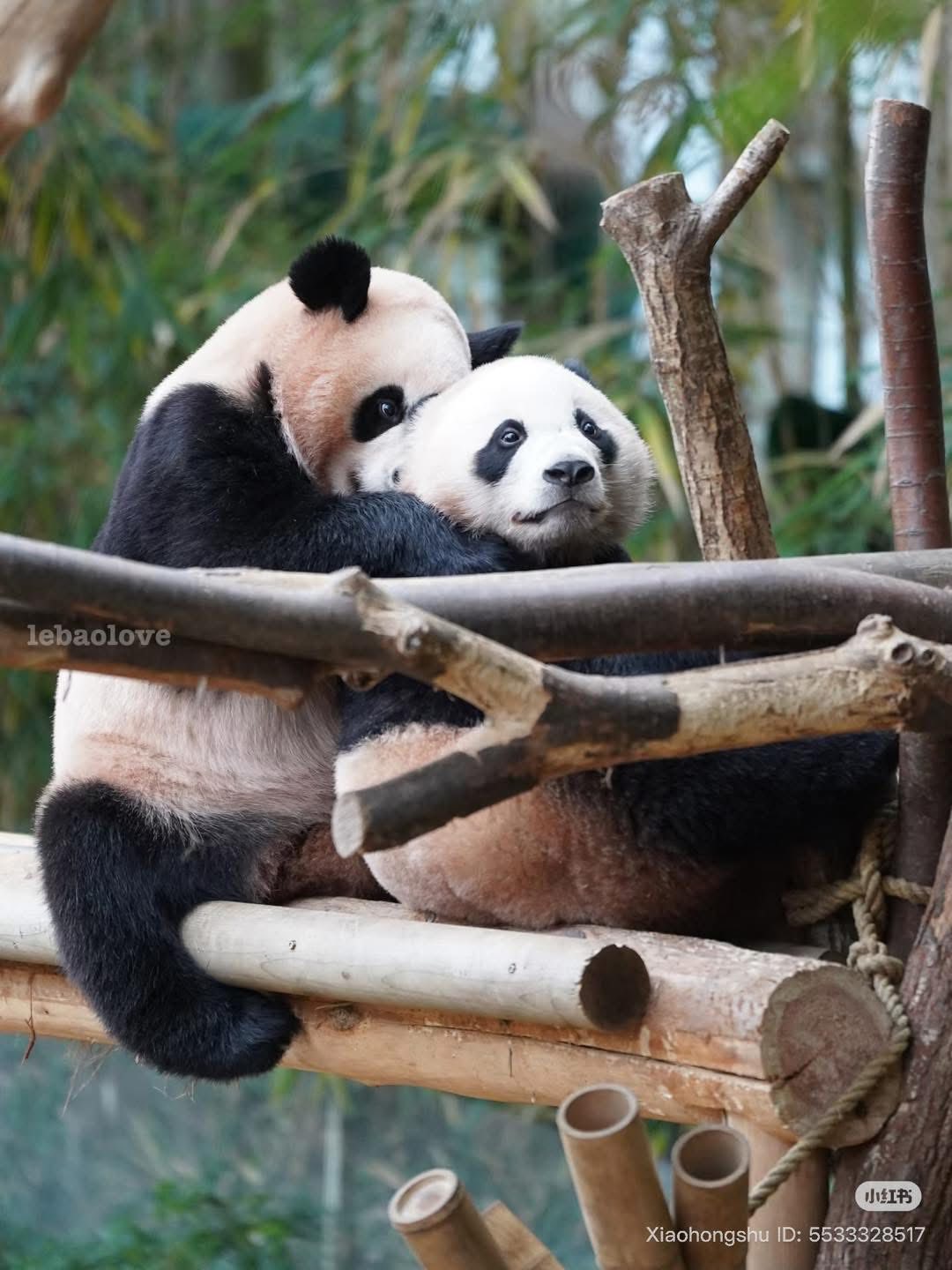 Rui Hui đáng yêu added a new photo. - Rui Hui đáng yêu