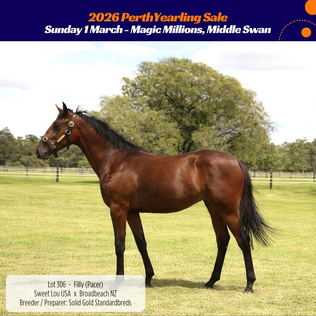 Racing WA Harness | Perth WA