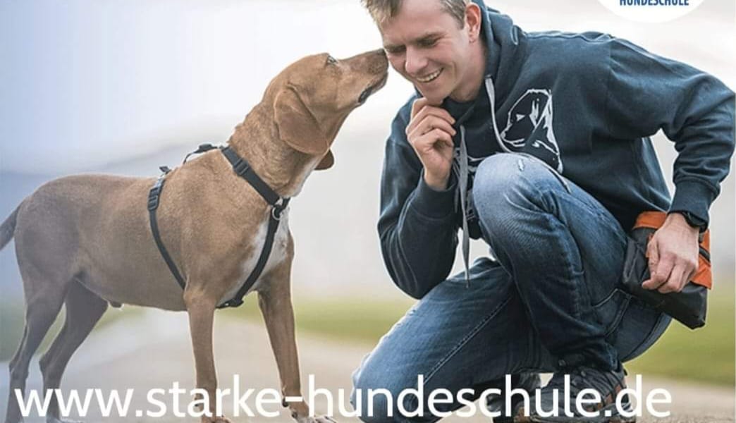 Tako Bello Ihre Hundeschulen in Duisburg / Essen / Mülheim a.d.Ruhr ...