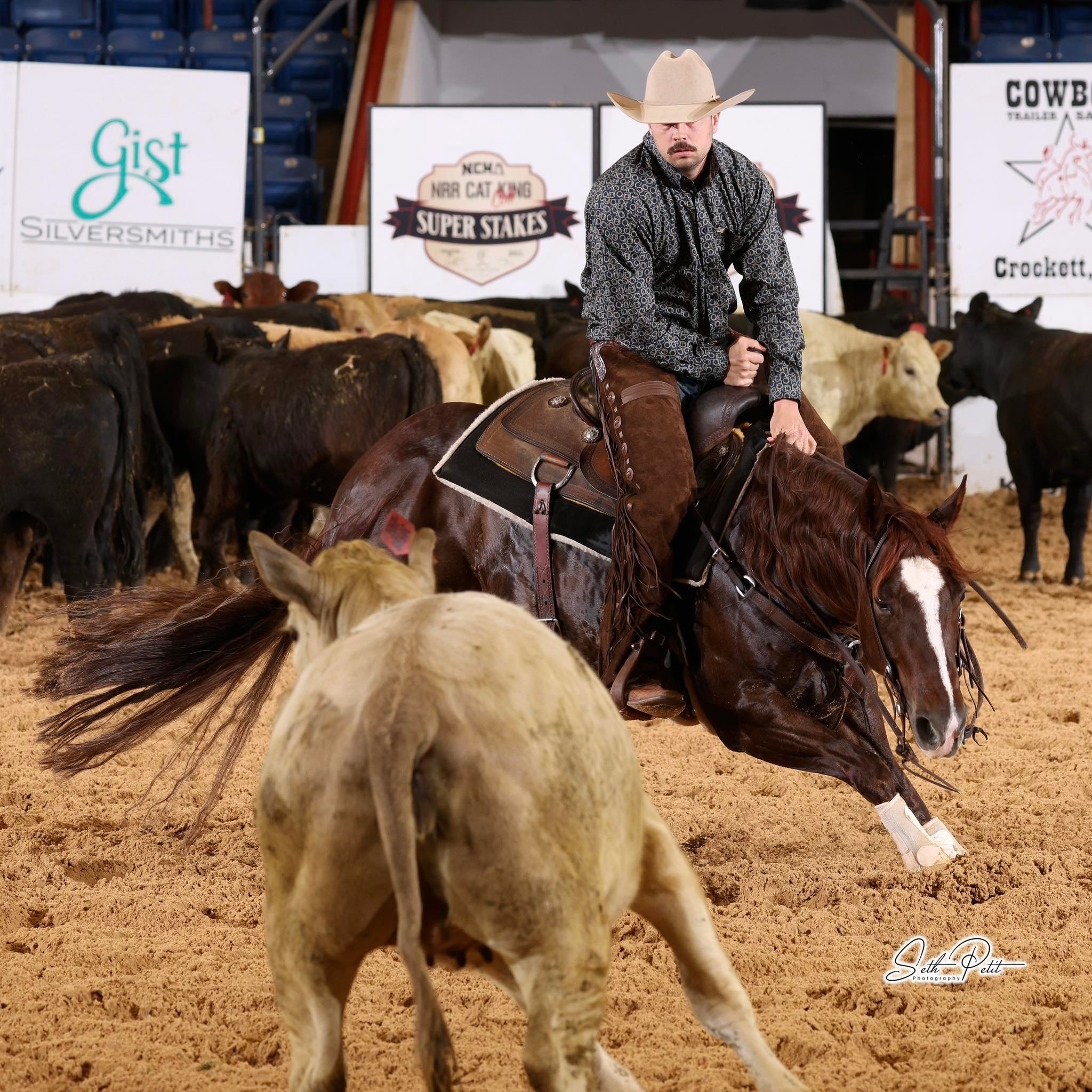 GALE FORCE Quarter Horses... - GALE FORCE Quarter Horses
