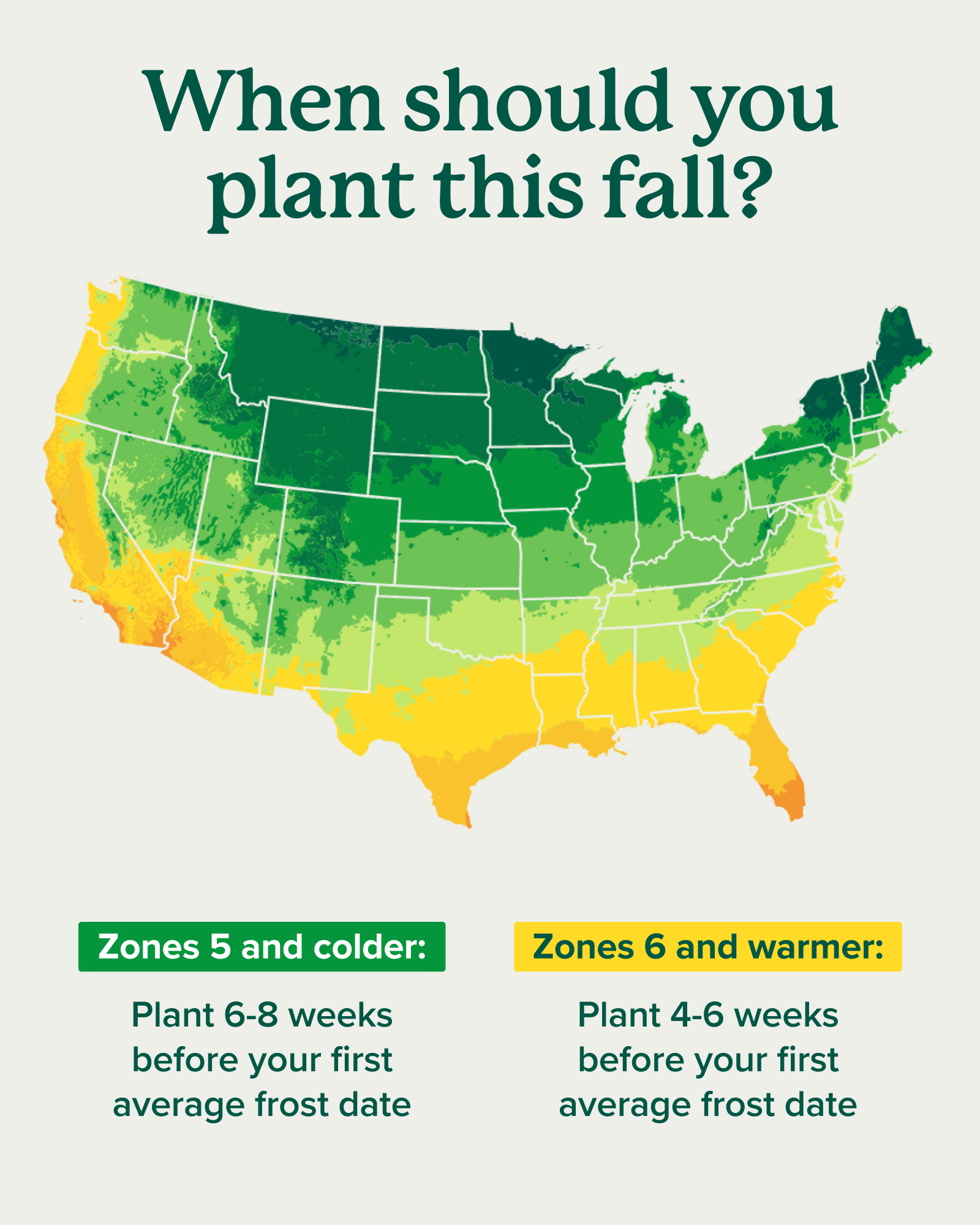 Fast - Planting season isn’t over 🌱🍂 Fall is actually one of the best ...