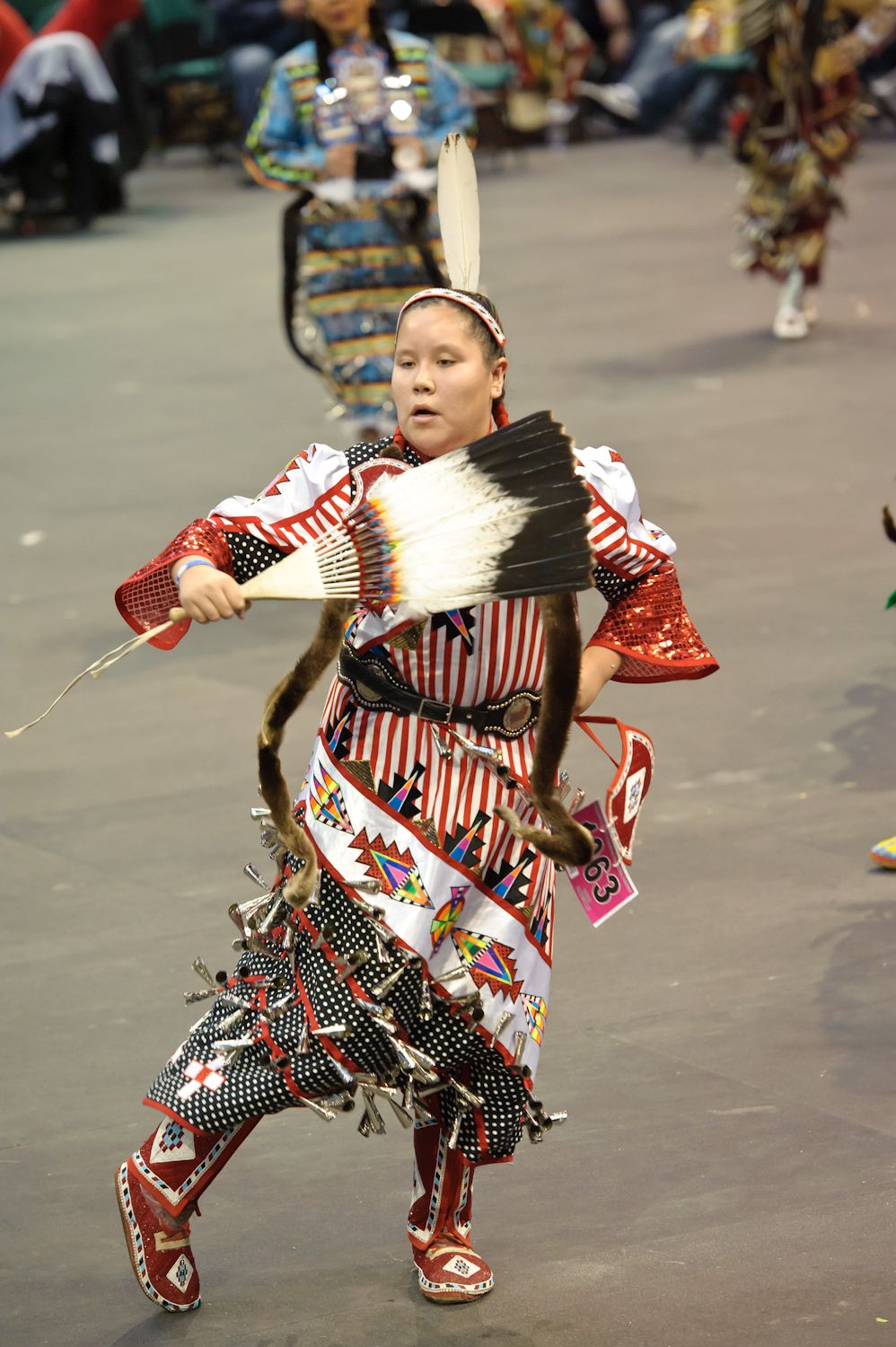 Jingle Dress