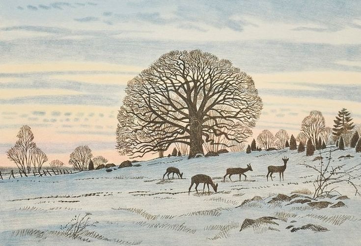 スウェーデン　Gunnar Brusewitz ヴィンテージ 自然画集 Sjö Gunnar Brusewitz (Swedish, 1924-2004) 
