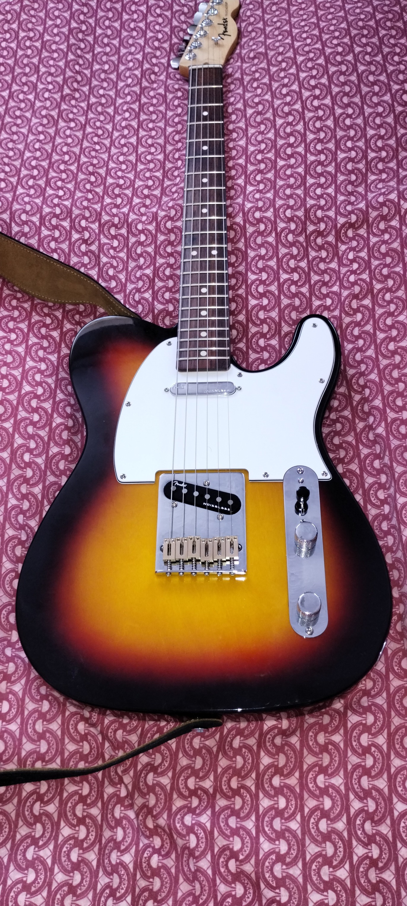 Upgraded Triumph Telecaster with Fender Noiseless pickups