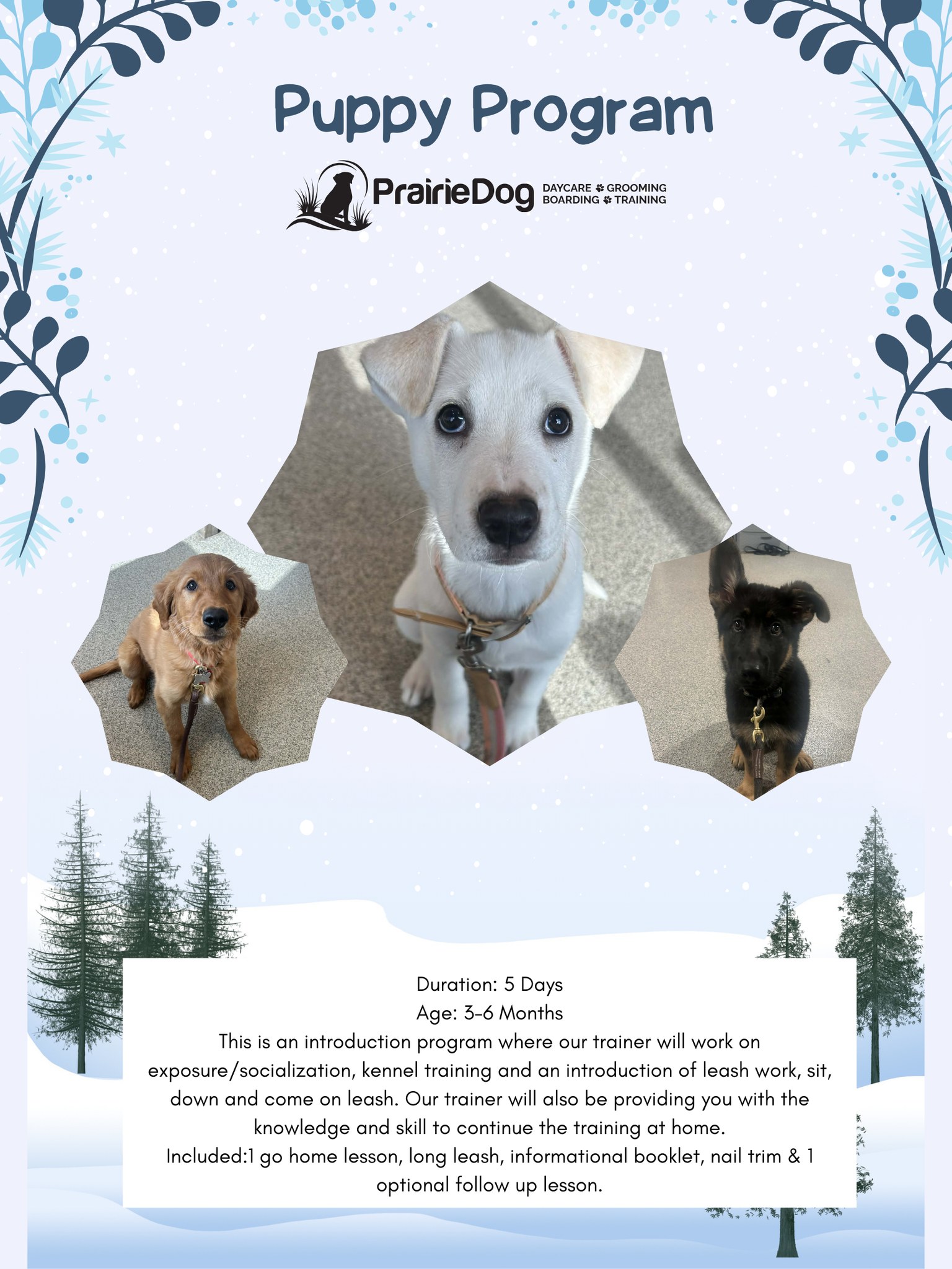 Hello 2026! ... - Obedience Training at Prairie Dog, Fargo | Facebook