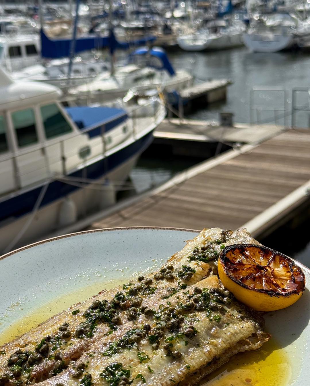 Jolly - It’s Fish Friday, the perfect time to introduce one of our new ...