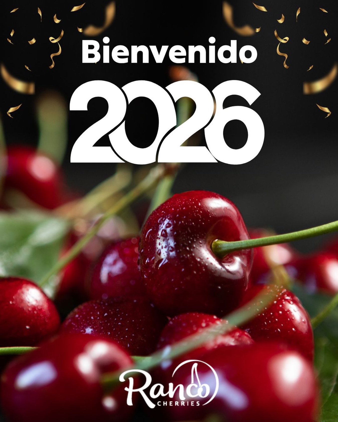 Ranco Cherries | Rancagua