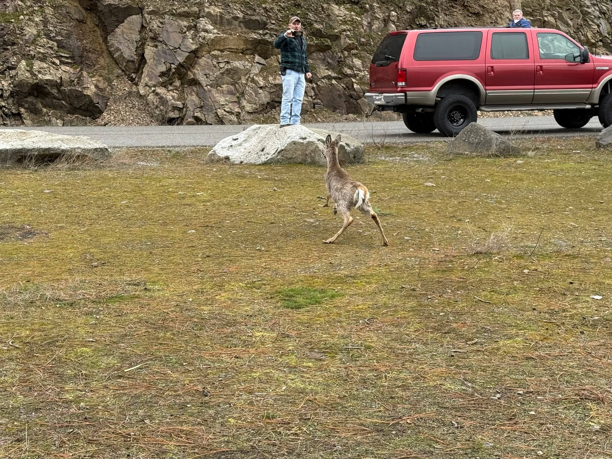 North - 🦌 Deer Rescued From Ice on Fernan Lake 🧊 Kootenai County Fire ...