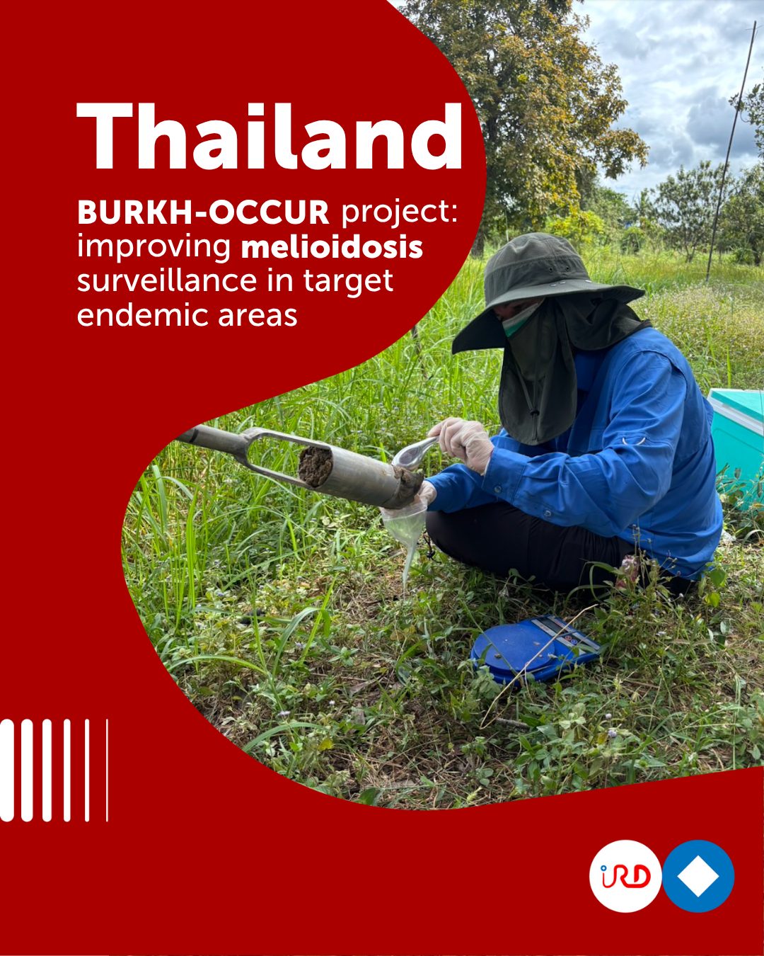 IRD in Asia - #Thailand 🇹🇭 | Discover the BURKH-OCCUR... | Facebook