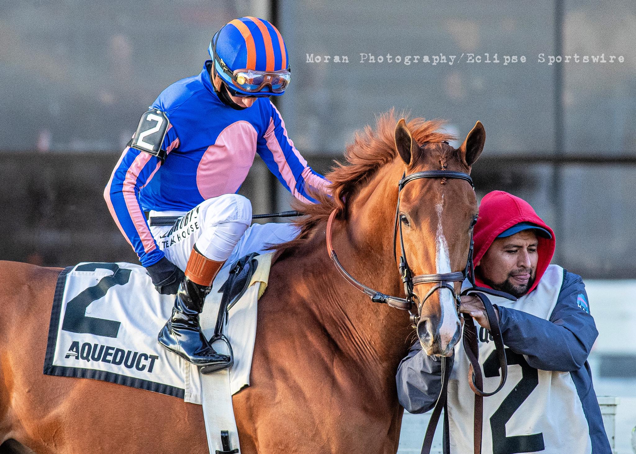 Moran - Paladin looking like the star that he is. The 2025 Remsen ...