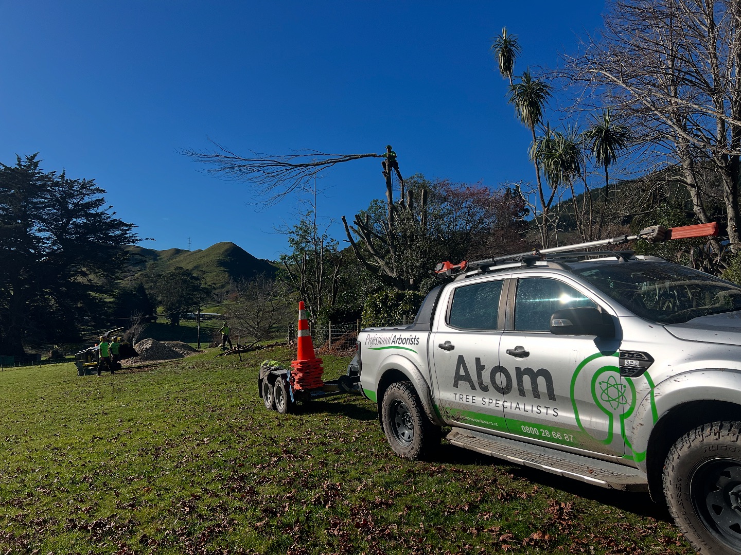 Atom Tree Specialists added a new... - Atom Tree Specialists