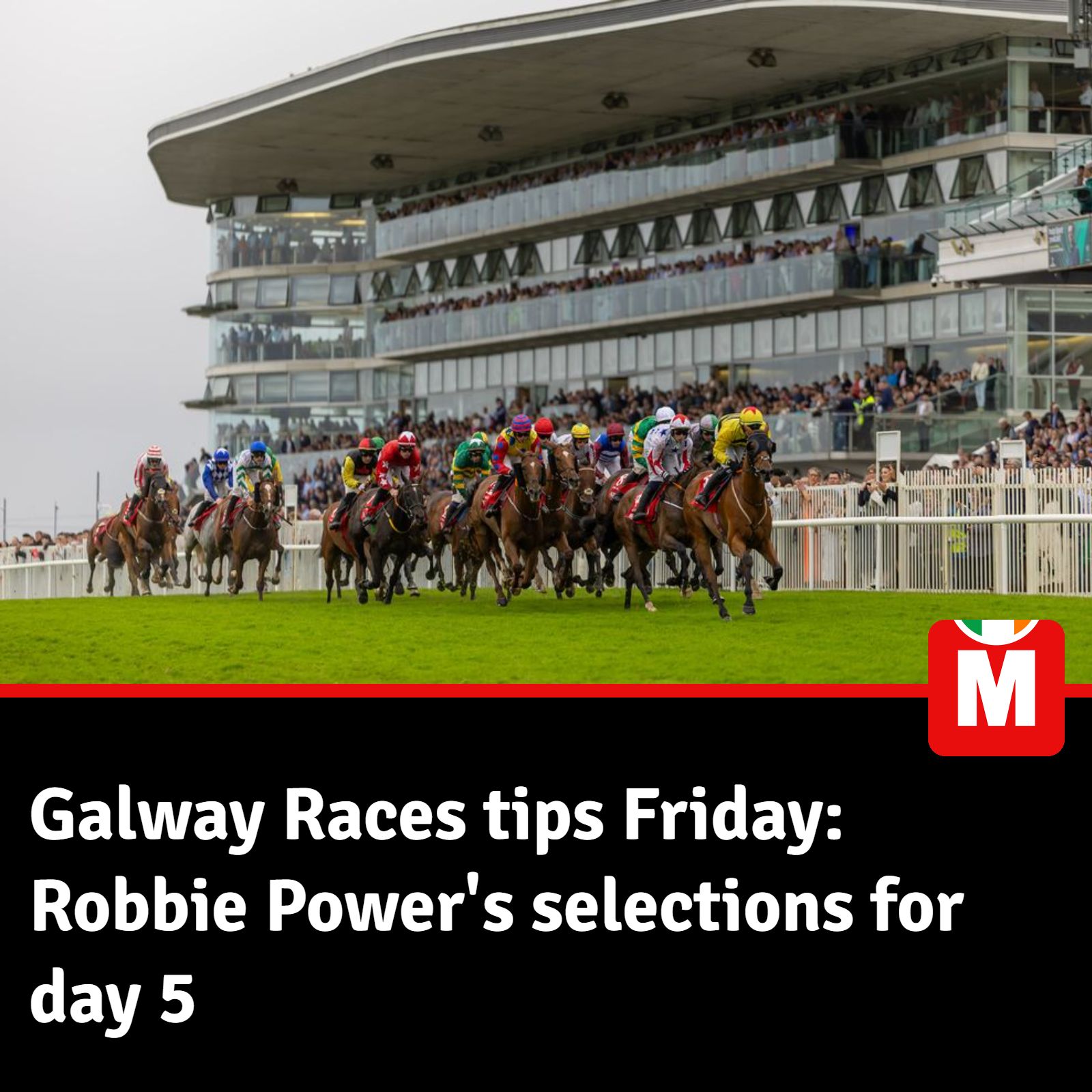 Irish - It's day 5 of the Galway Races 🐴 | Facebook