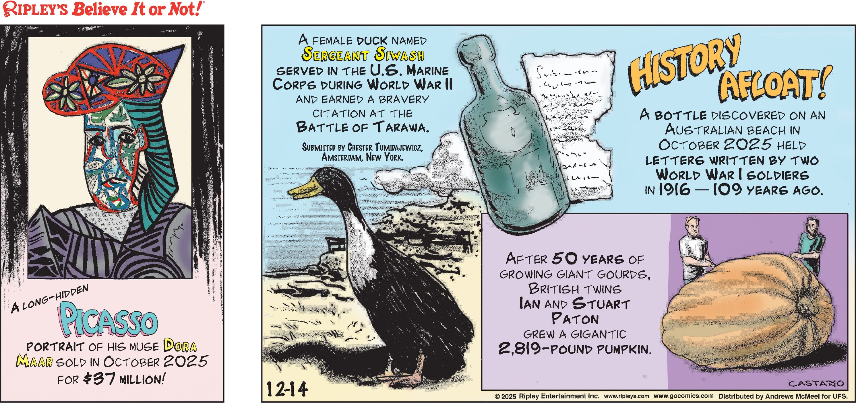 Ripley's - A bottle discovered on an Australian beach in October 2025 ...