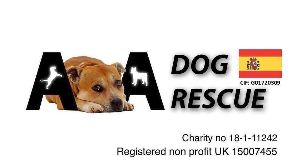 AA Dog Rescue
