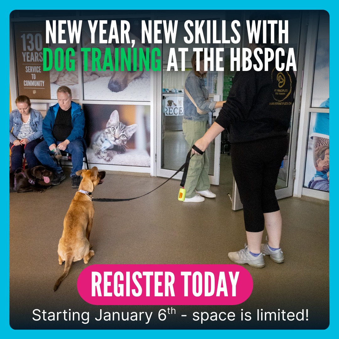 Hamilton/Burlington SPCA