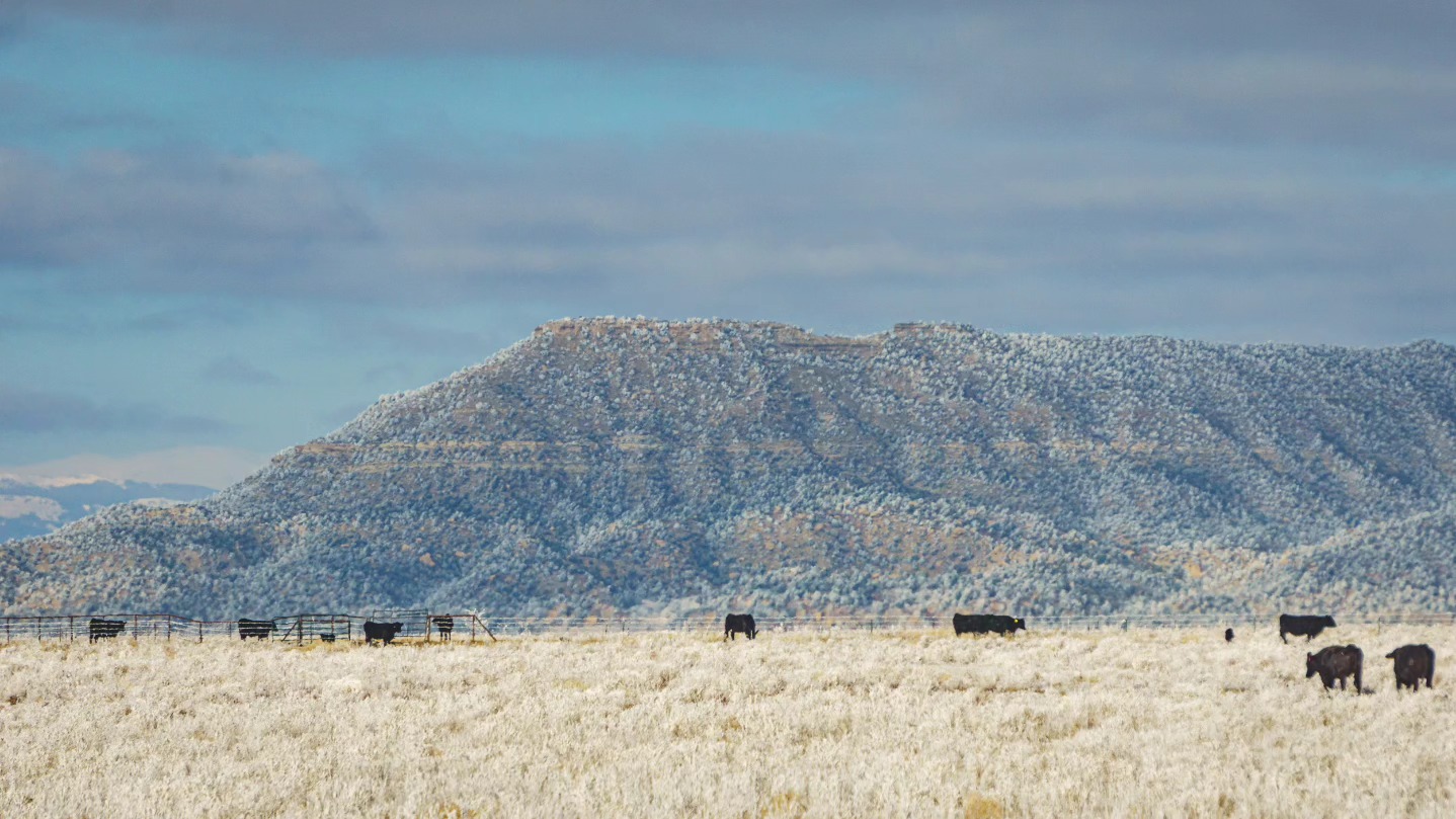Reverse Rocking R Ranch | Maxwell NM