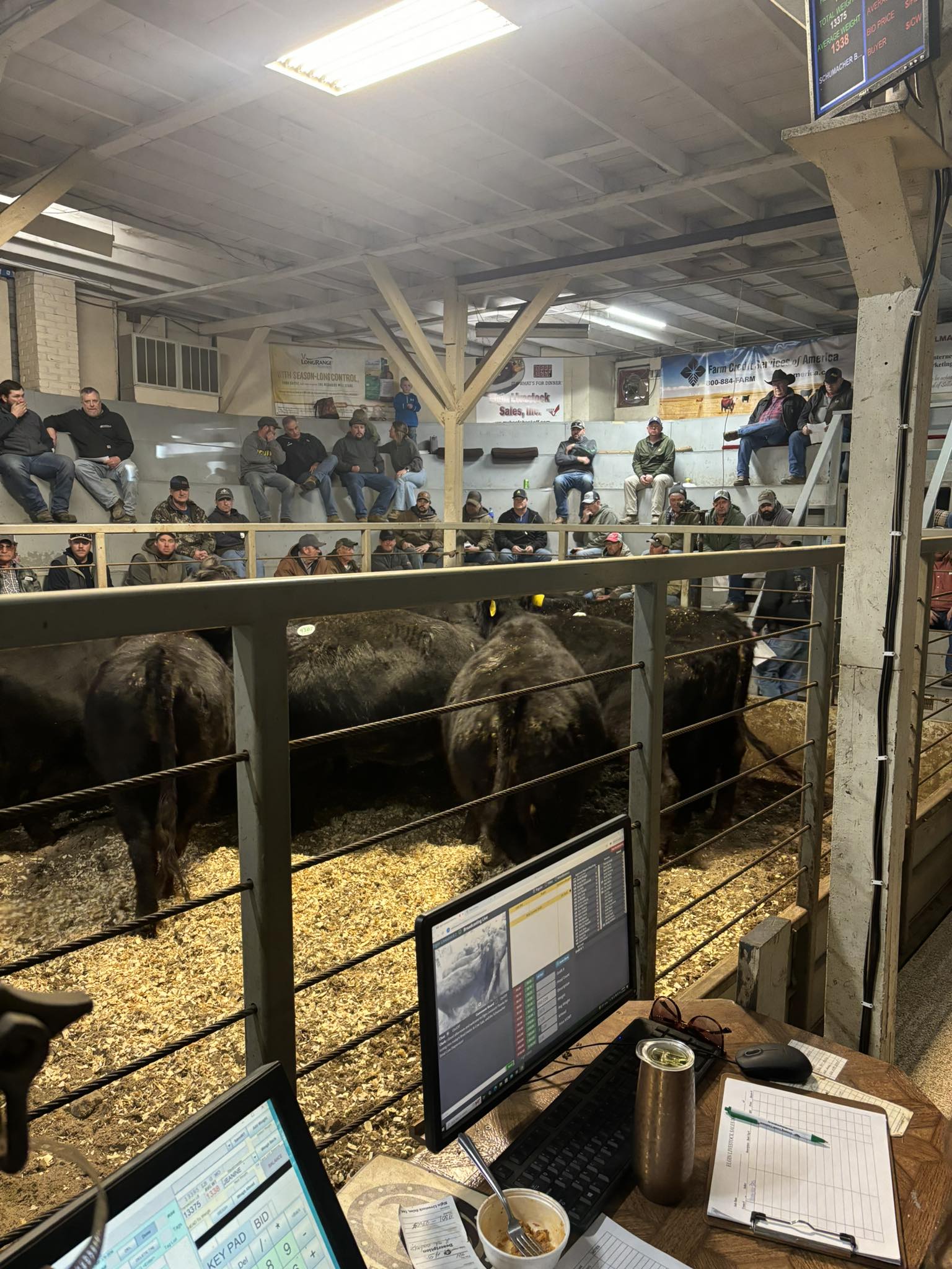 Elgin Livestock Sales | Facebook