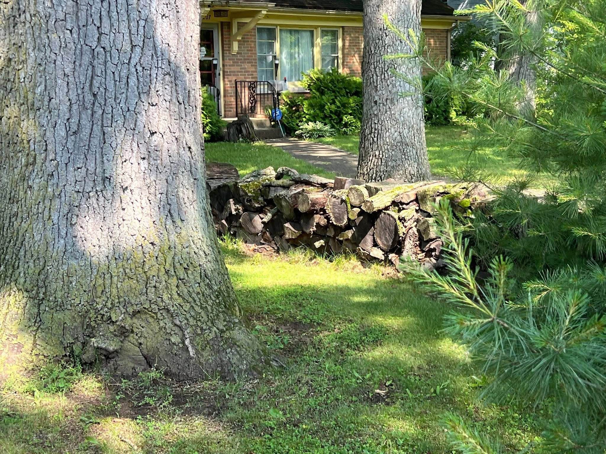 FREE SEASONED FIREWOOD - Miscellaneous - South Bend, Indiana | Facebook