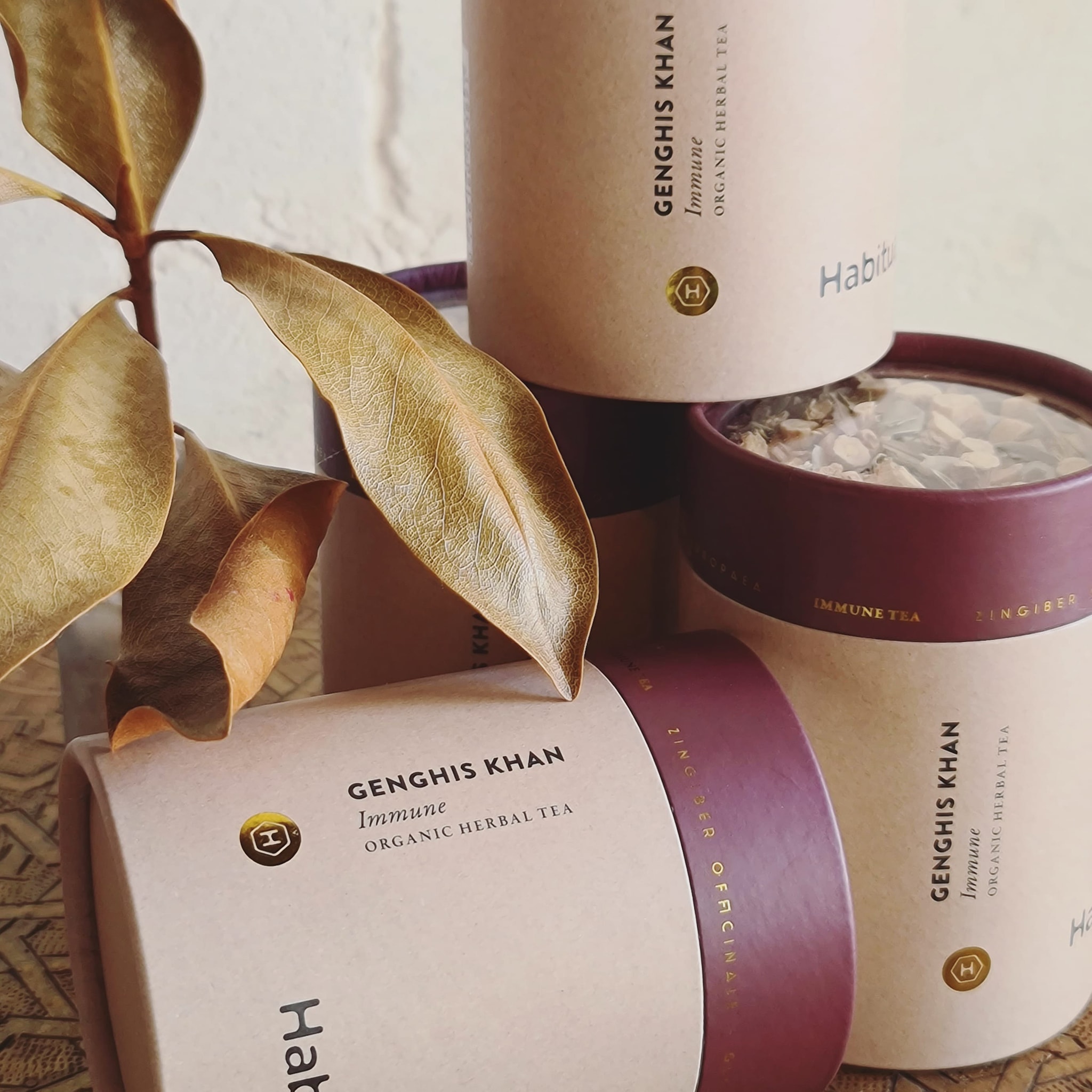 Habitual Tea | Port Macquarie NSW