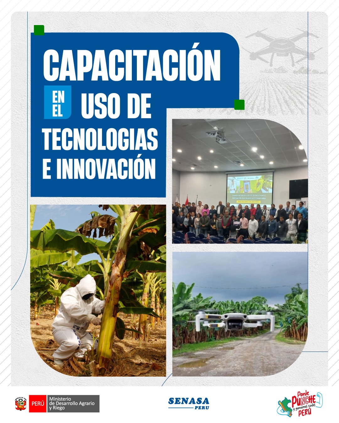 Senasa - 🔍🌱 ¡Continuamos fortaleciendo la tecnología en la sanidad ...