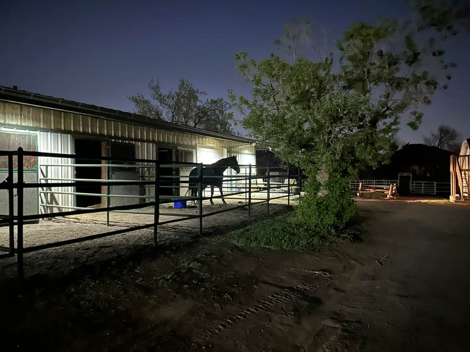Down South Riding School added... - Down South Riding School