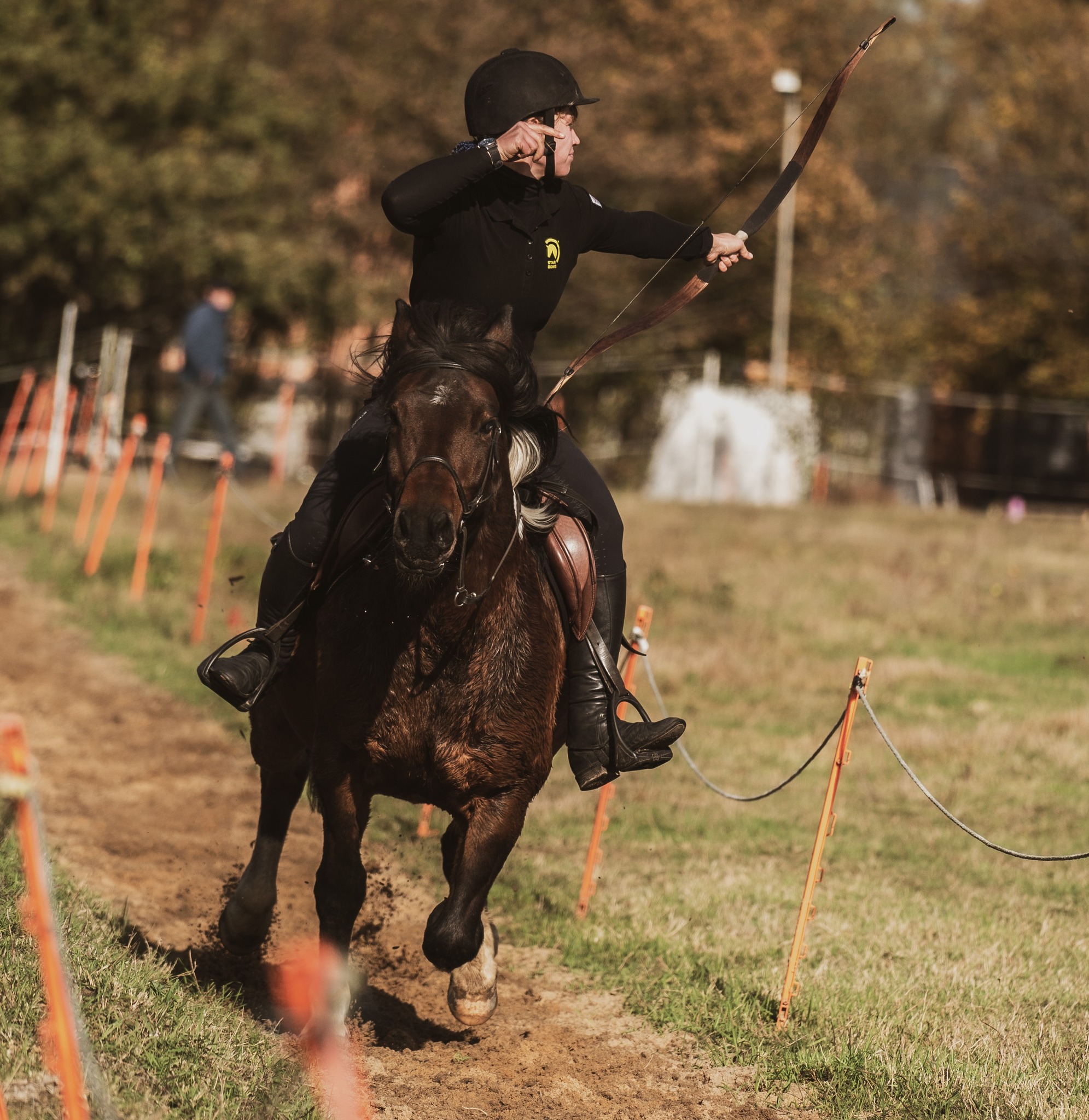 International - Results for the Nov Dec Canter Postal Match - Raid 123 ...