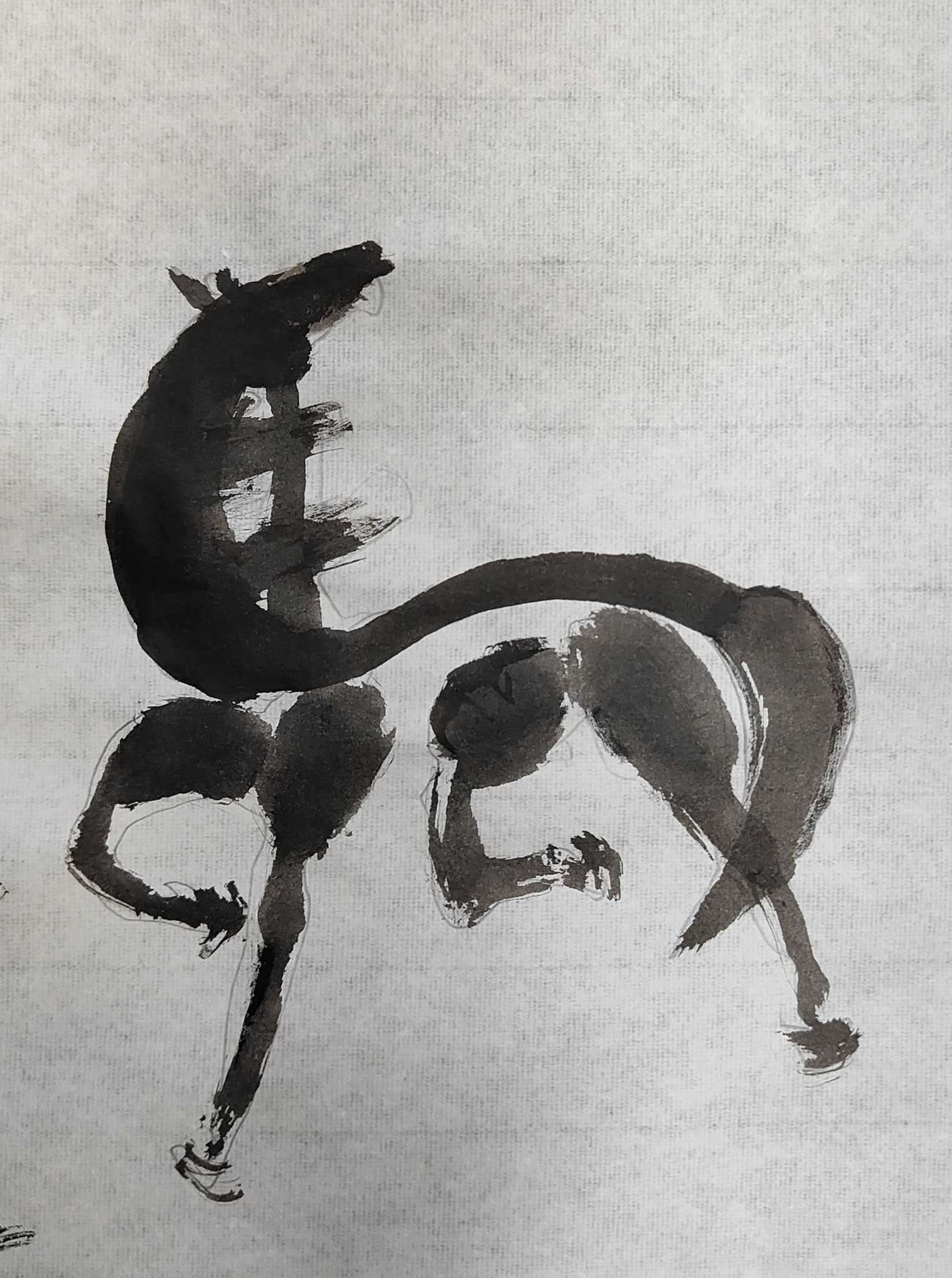 水墨画講座が始まる前に今日の絵は何か当て合いをしたそうで馬を当てた
