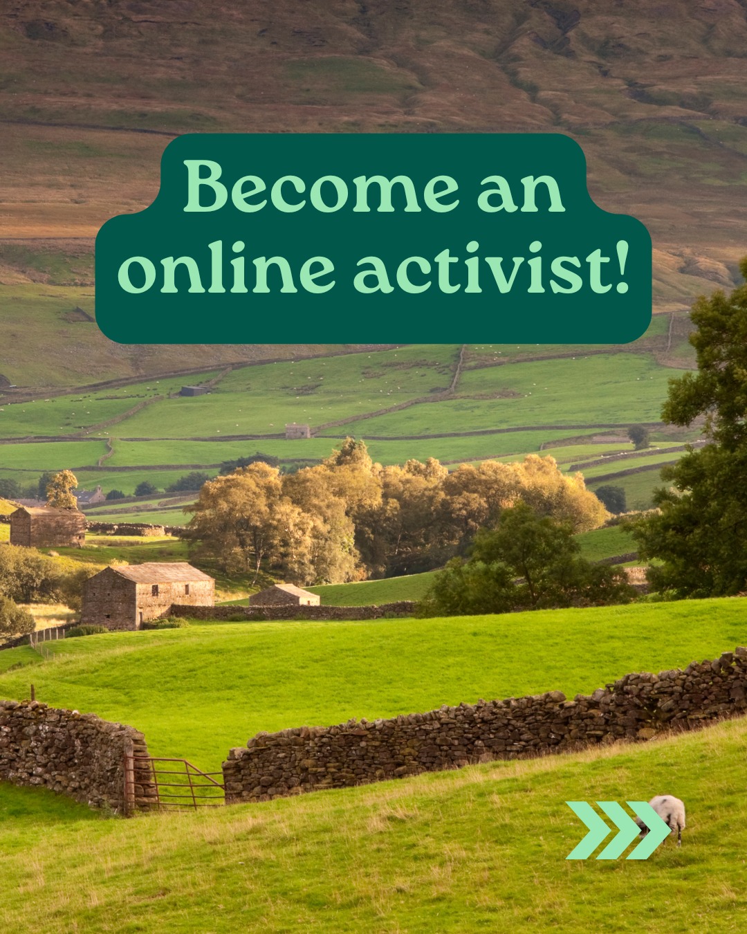 Campaign to Protect... - Campaign to Protect Rural England