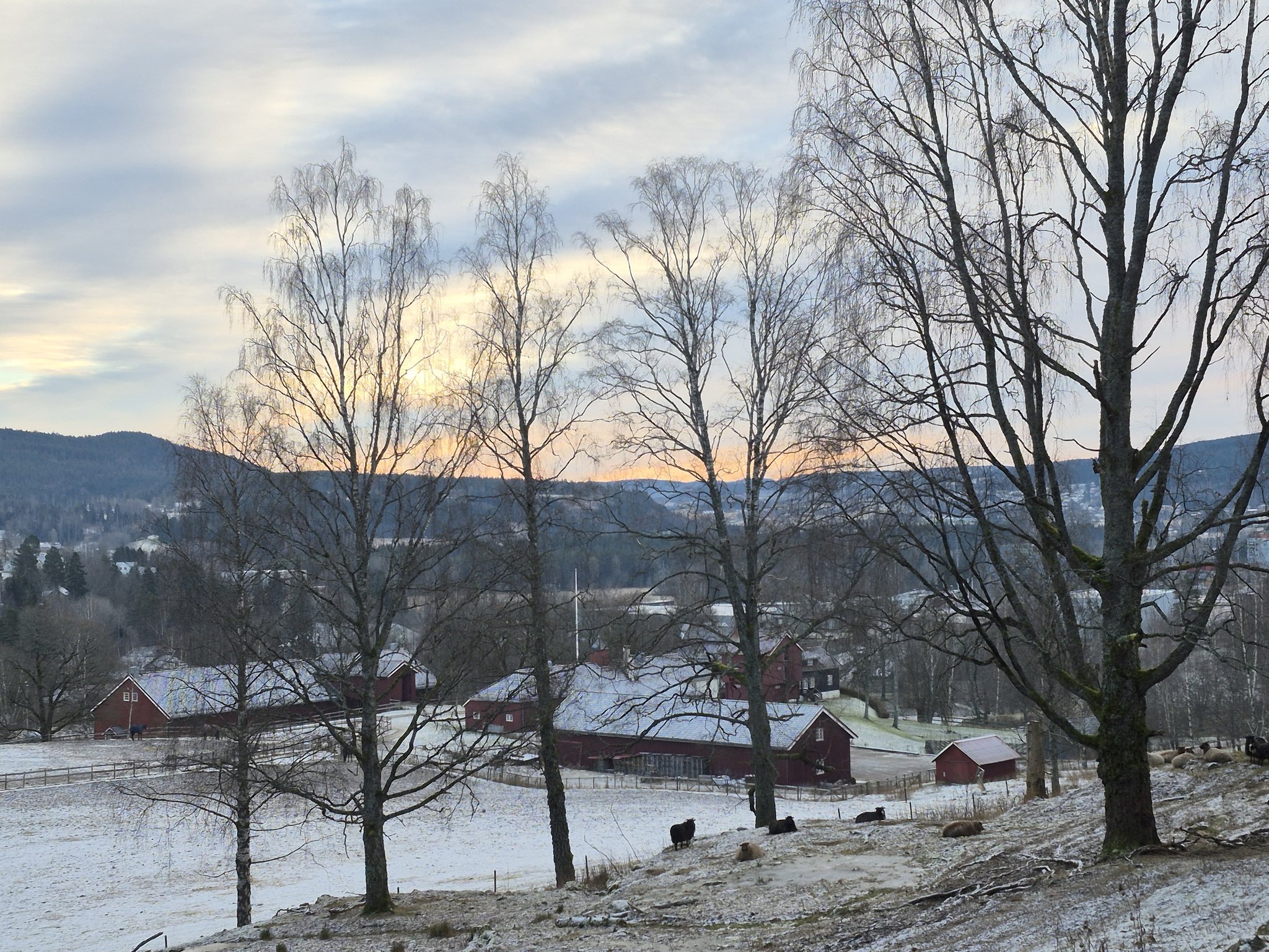 Turkameratene Nittedal... - Turkameratene Nittedal Turlag