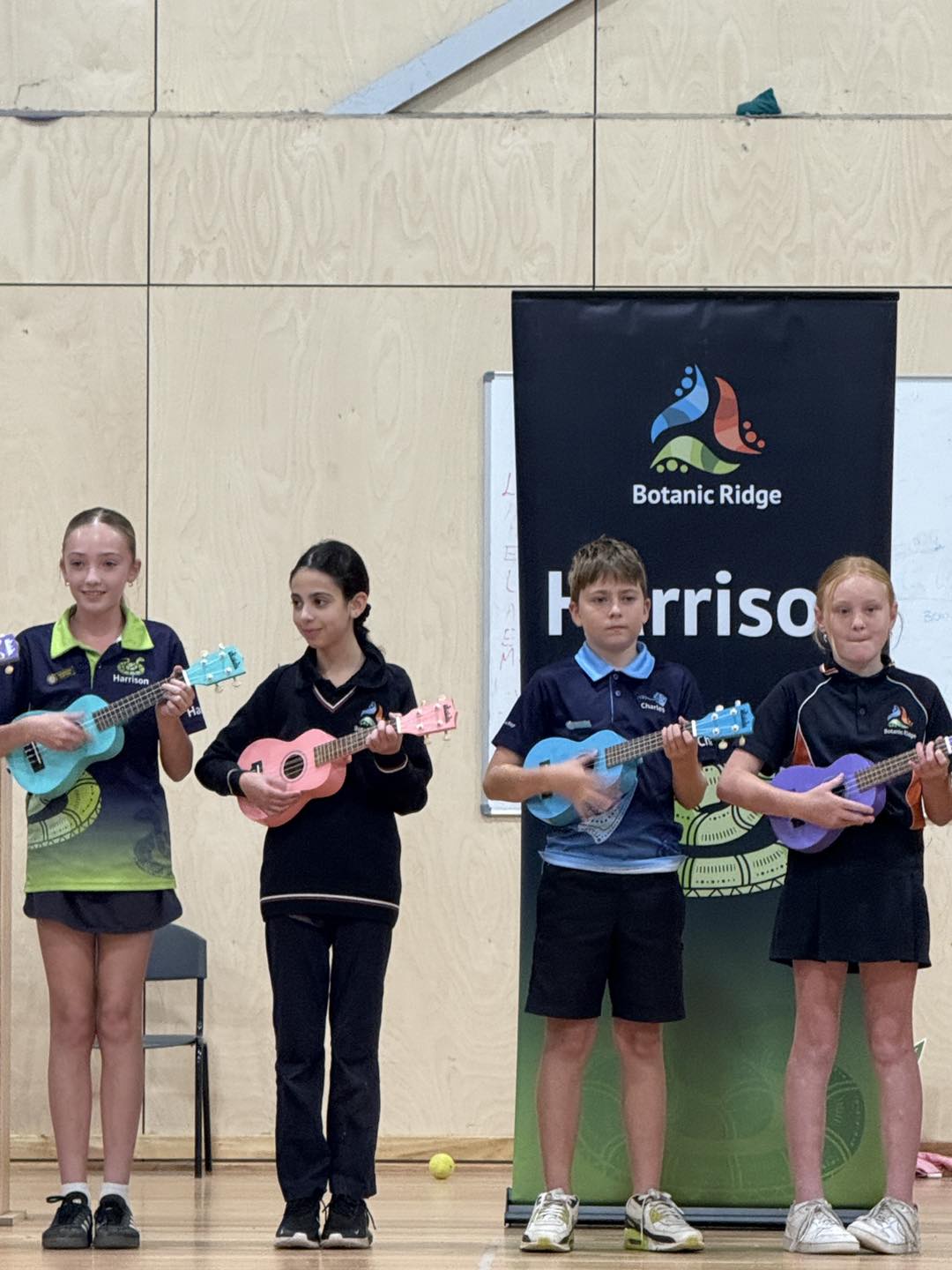 Botanic Ridge Primary... - Botanic Ridge Primary School