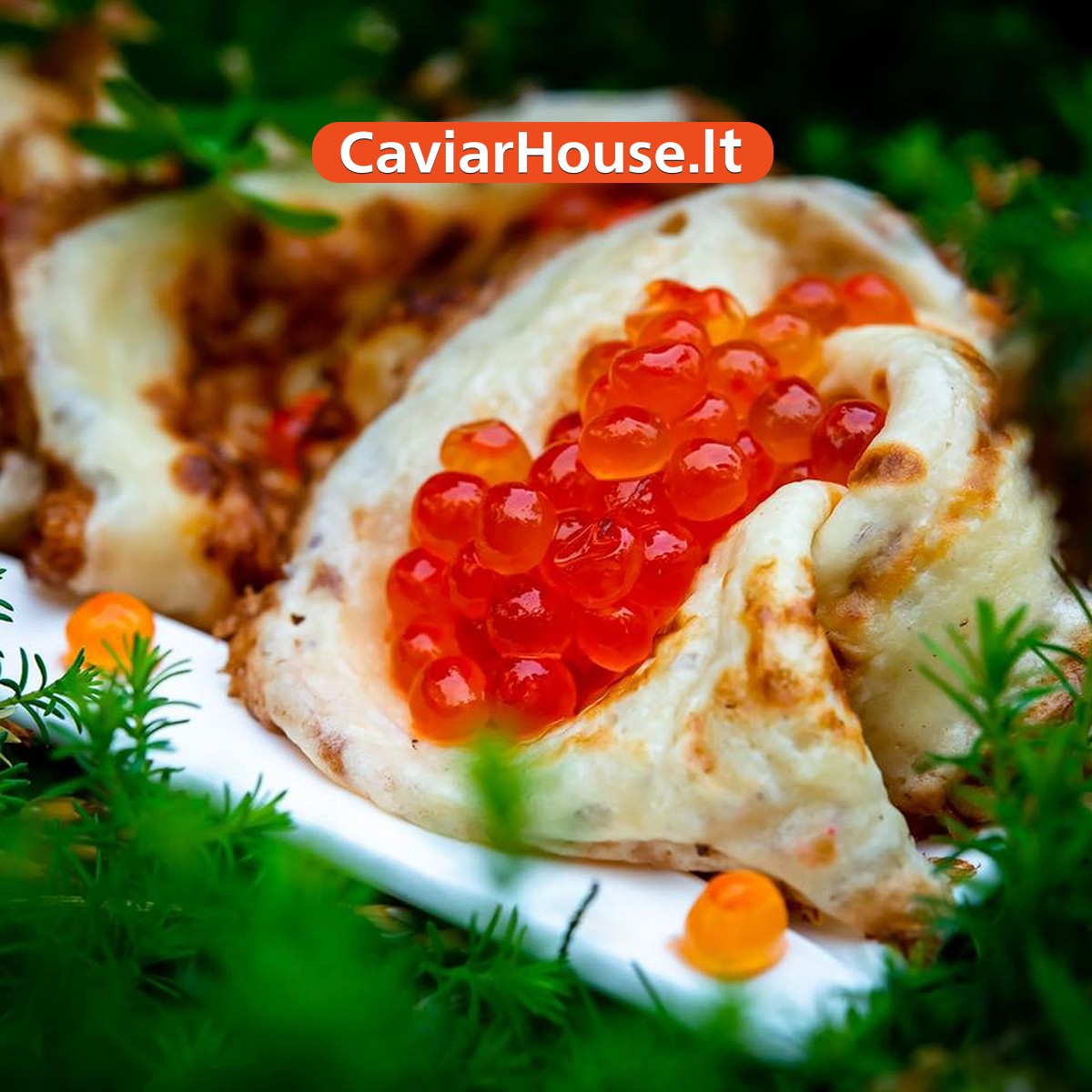 CaviarHouse Lithuania | Riga