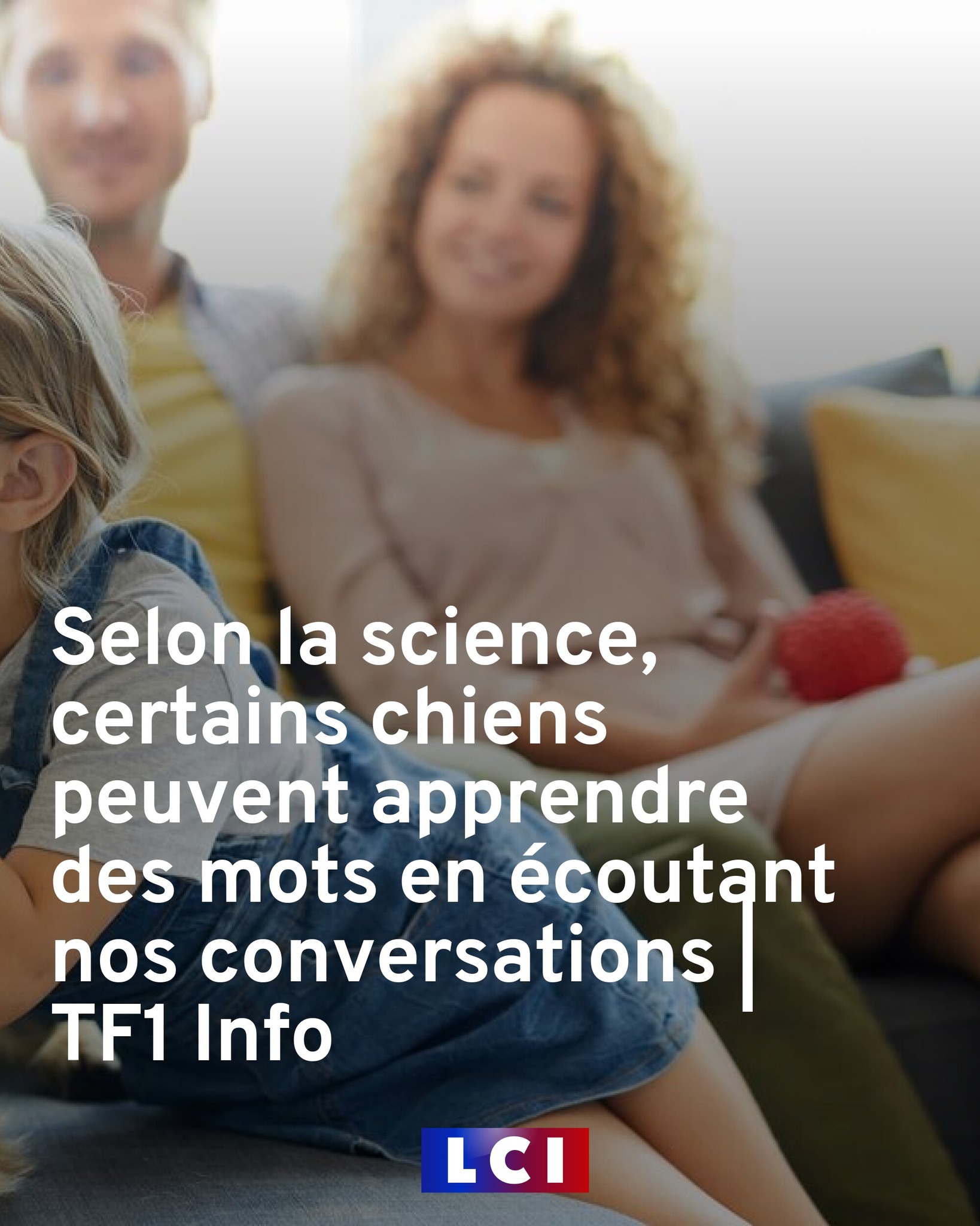 LCI - Selon la science, certains chiens peuvent apprendre... | Facebook
