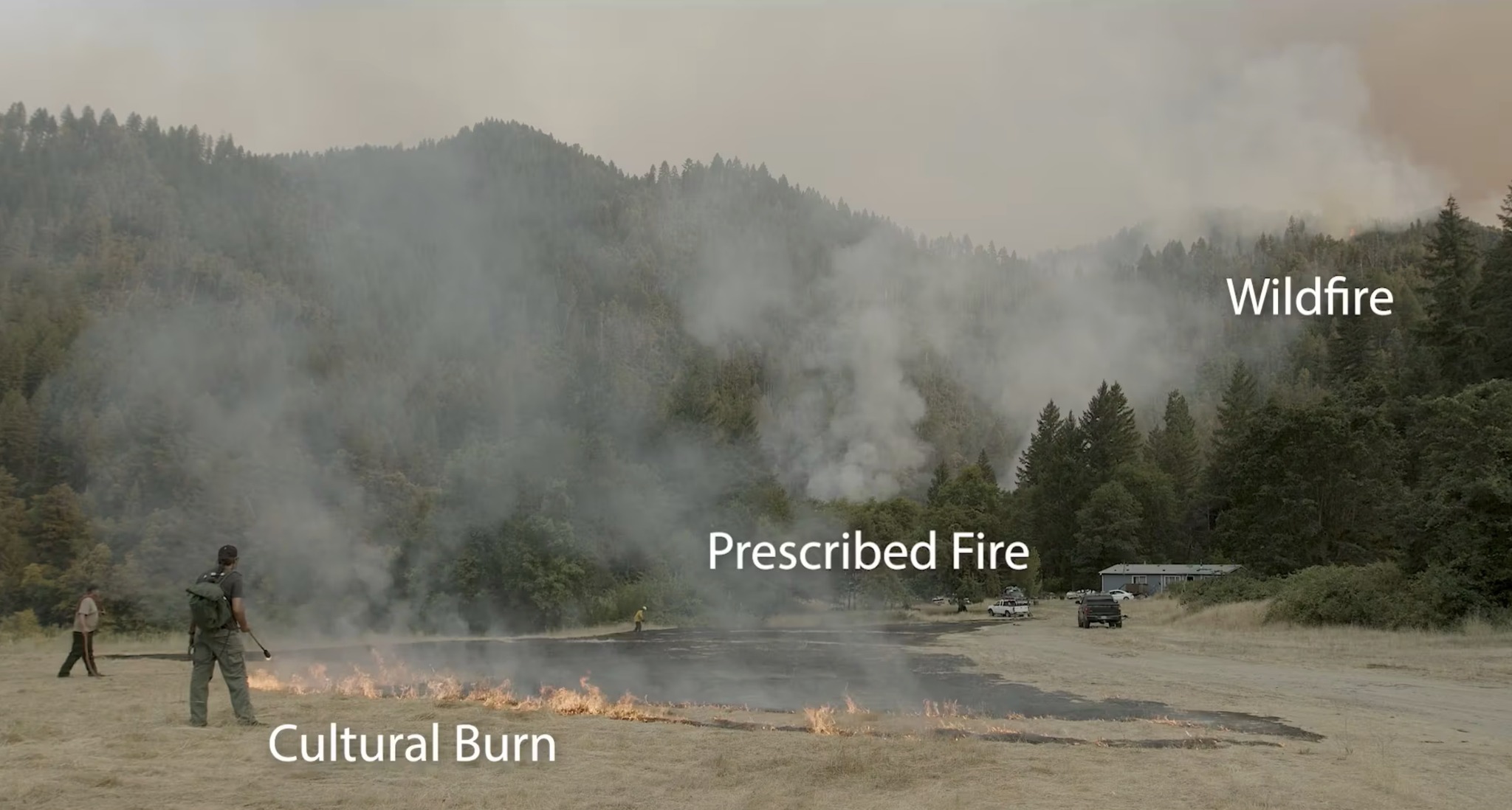 TREX Prescribed Fire Training Exchange
