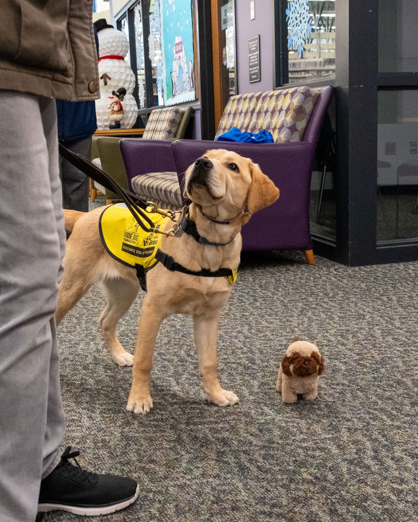 Guide Dog Foundation for the Blind - Happy Thanksgiving from the Guide ...